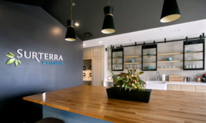 surterra